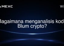 Bagaimana menganalisis kode Blum crypto?