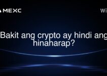 Bakit ang crypto ay hindi ang hinaharap?