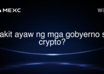 Bakit ayaw ng mga gobyerno sa crypto?