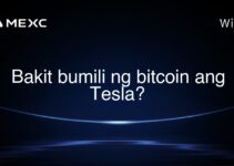 Bakit bumili ng bitcoin ang Tesla?