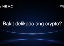 Bakit delikado ang crypto?