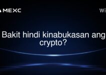 Bakit hindi kinabukasan ang crypto?
