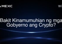 Bakit Kinamumuhian ng mga Gobyerno ang Crypto?