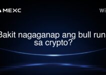 Bakit nagaganap ang bull runs sa crypto?