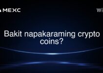 Bakit napakaraming crypto coins?