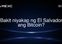 Bakit niyakap ng El Salvador ang Bitcoin?
