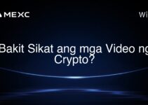 Bakit Sikat ang mga Video ng Crypto?