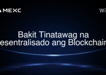 Bakit Tinatawag na Desentralisado ang Blockchain?