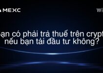 Bạn có phải trả thuế trên crypto nếu bạn tái đầu tư không?