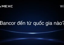 Bancor đến từ quốc gia nào?
