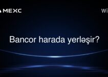 Bancor harada yerləşir?