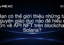 Bạn có thể giới thiệu những tài nguyên giáo dục nào để hiểu rõ hơn về API NFT trên blockchain Solana?