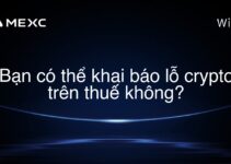 Bạn có thể khai báo lỗ crypto trên thuế không?