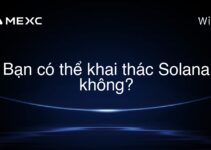 Bạn có thể khai thác Solana không?