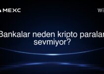 Bankalar neden kripto paraları sevmiyor?
