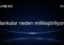 Bankalar neden millileştiriliyor?