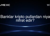 Banklar kripto pullardan niyə nifrət edir?