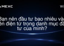 Bạn nên đầu tư bao nhiêu vào tiền điện tử trong danh mục đầu tư của mình?