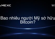 Bao nhiêu người Mỹ sở hữu Bitcoin?