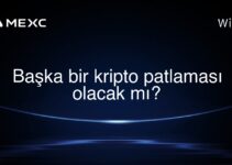 Başka bir kripto patlaması olacak mı?