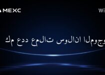 كم عدد عملات سولانا الموجودة؟
