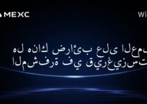 هل هناك ضرائب على العملات المشفرة في قيرغيزستان؟