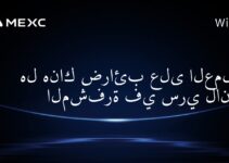 هل هناك ضرائب على العملات المشفرة في سري لانكا؟