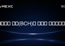 비트코인 캐시(BCH)는 얼마나 존재하나요?