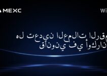 هل تعدين العملات الرقمية قانوني في أوكرانيا؟