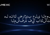 هل هناك ضرائب على العملات المشفرة في باكستان؟
