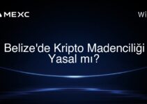 Belize’de Kripto Madenciliği Yasal mı?