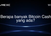 Berapa banyak Bitcoin Cash yang ada?