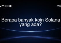 Berapa banyak koin Solana yang ada?