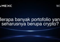 Berapa banyak portofolio yang seharusnya berupa crypto?