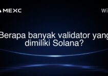 Berapa banyak validator yang dimiliki Solana?