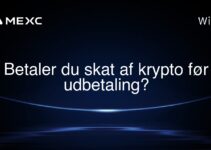 Betaler du skat af krypto før udbetaling?