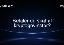 Betaler du skat af kryptogevinster?