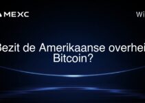 Bezit de Amerikaanse overheid Bitcoin?