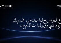 كيف يمكن الحصول على العملات الرقمية مجاناً؟