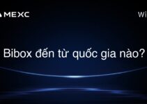 Bibox đến từ quốc gia nào?