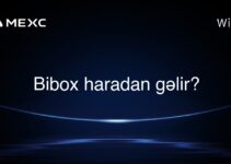 Bibox haradan gəlir?