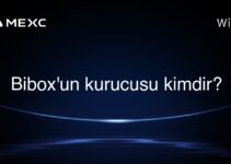 Bibox’un kurucusu kimdir?