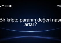Bir kripto paranın değeri nasıl artar?