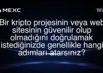 Bir kripto projesinin veya web sitesinin güvenilir olup olmadığını doğrulamak istediğinizde genellikle hangi adımları atarsınız?