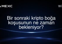 Bir sonraki kripto boğa koşusunun ne zaman bekleniyor?