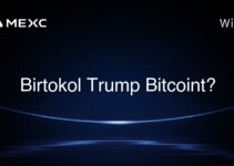 Birtokol Trump Bitcoint?