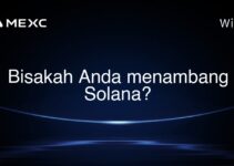 Bisakah Anda menambang Solana?