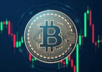 Bitcoin Surpasses 55M Holders, Whale Holdings Shrink