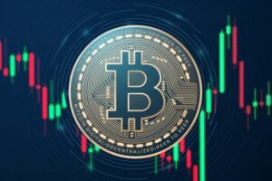 Bitcoin Surpasses 55M Holders, Whale Holdings Shrink