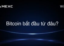 Bitcoin bắt đầu từ đâu?